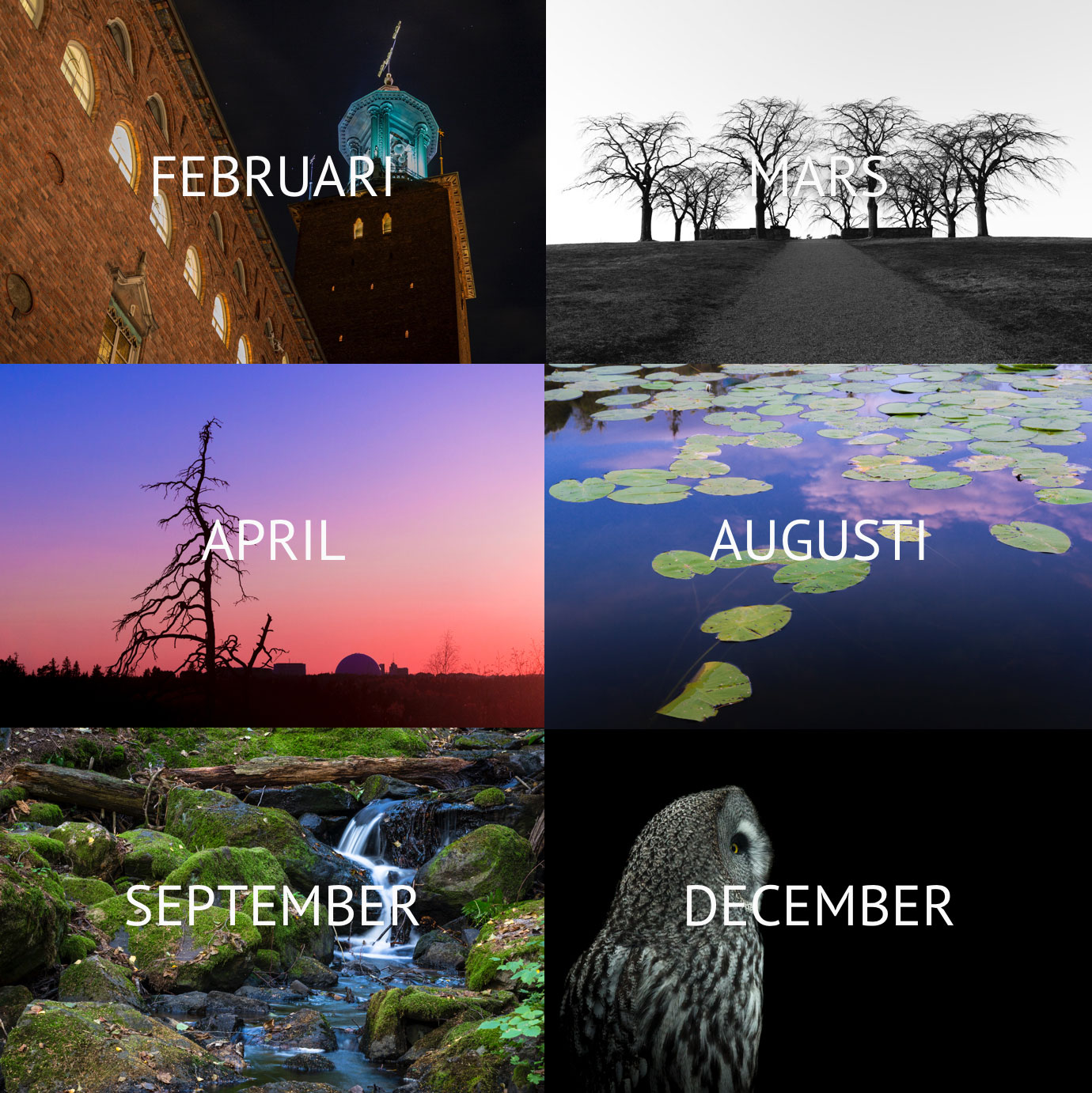 Kalender 2020 - fotokonst